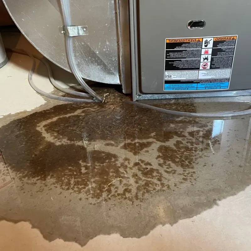 Pipe Burst and Leak Restoration in Blaine County, NE