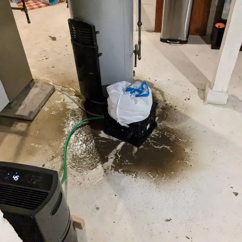 Sewage Backup Cleanup Service in Blaine County, NE